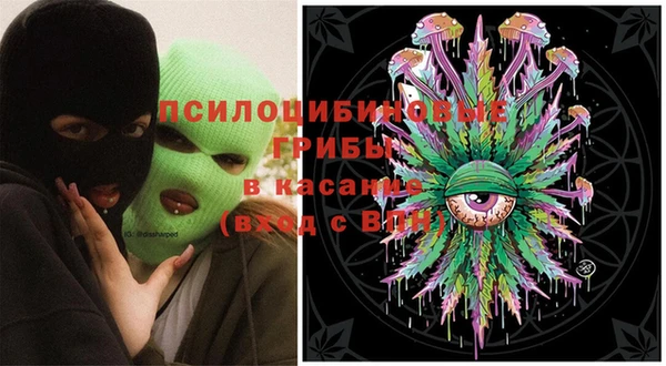 прущая мука Богородск